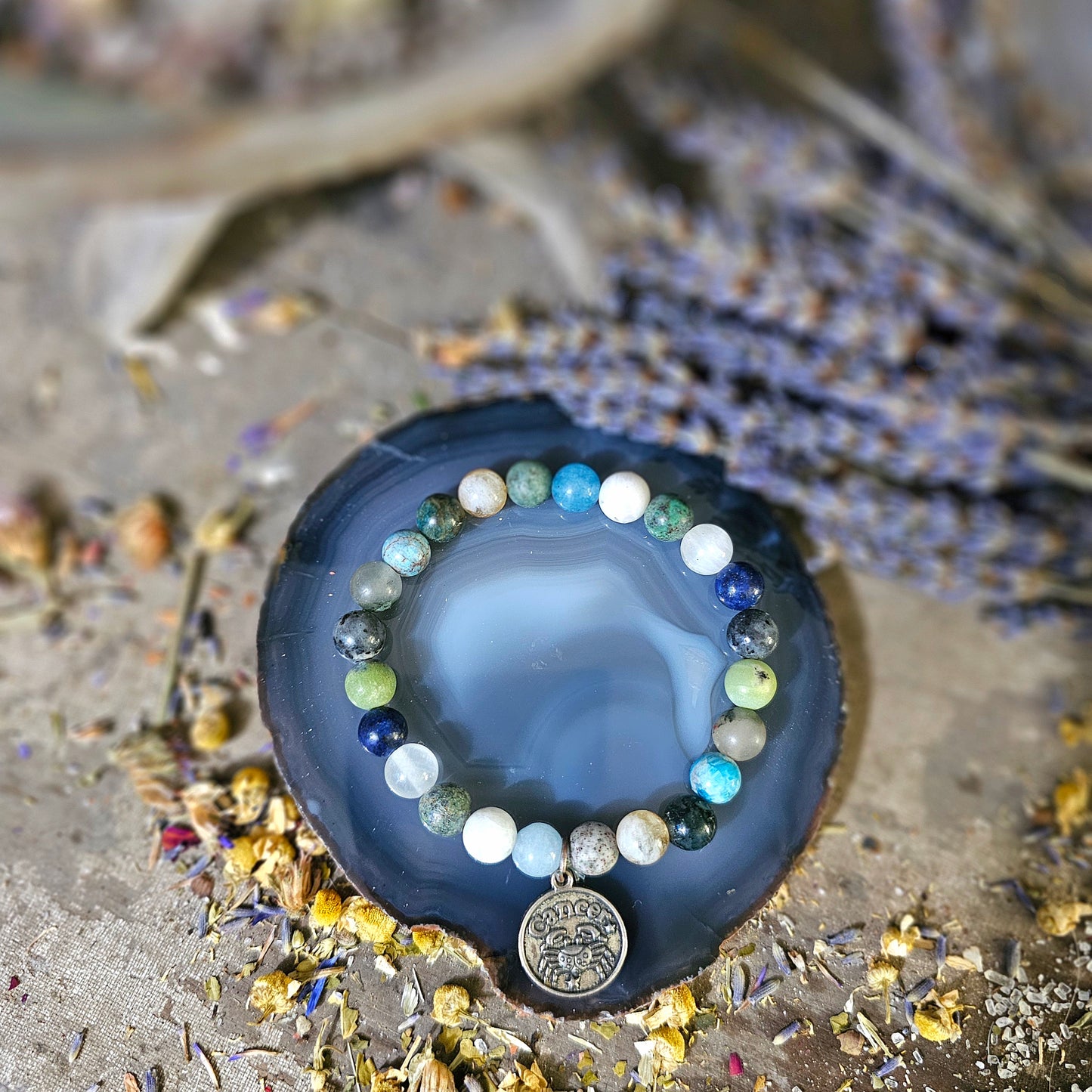 Starry Synergy Collection - Celestial Shell Mystic Fusion Stacker